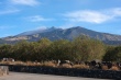 201009-Sicile-2101-p4
