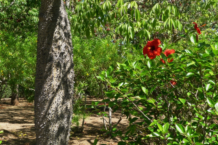 201009-Sicile-8104-pz.JPG