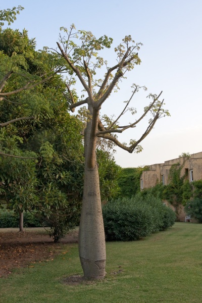 201009-Sicile-8106-p4.jpg