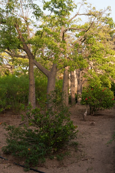 201009-Sicile-8107-p4.jpg