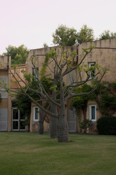 201009-Sicile-8108-p4.jpg