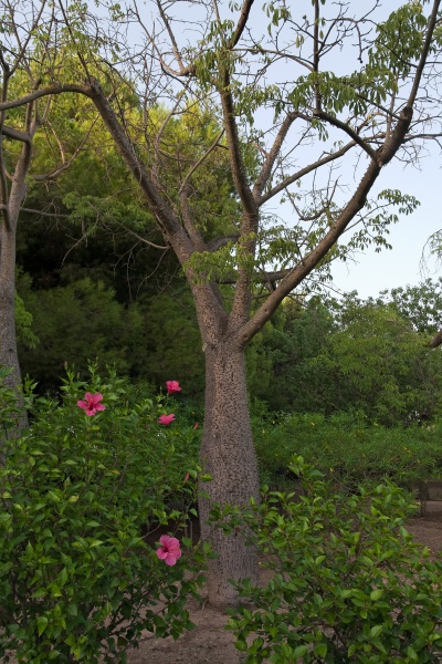 201009-Sicile-8110-p4.jpg