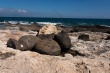 Bord De Mer