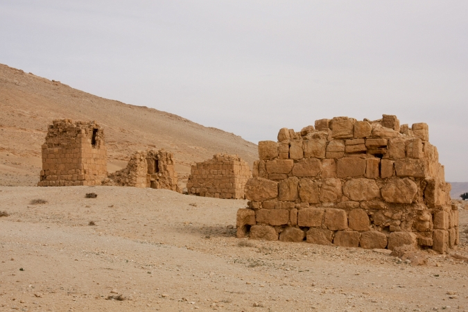 20090311-3407-p4.jpg - 11/03/2009-Syrie-Site de Palmyre