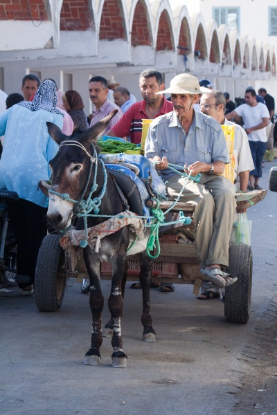 201008Tunisie-6004-p3.jpg - 2010/08-Nabeul (Tunisie) -Le marché