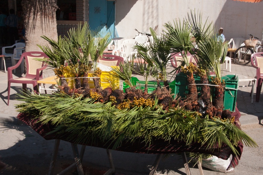 201008Tunisie-6005-p4.jpg - 2010/08-Nabeul (Tunisie) -Le marché