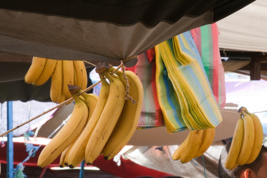 201008Tunisie-6019-p3.jpg - 2010/08-Nabeul (Tunisie) -Le marché