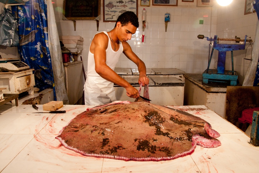 201008Tunisie-6041-p4.jpg - 2010/08-Nabeul (Tunisie) -Le marché