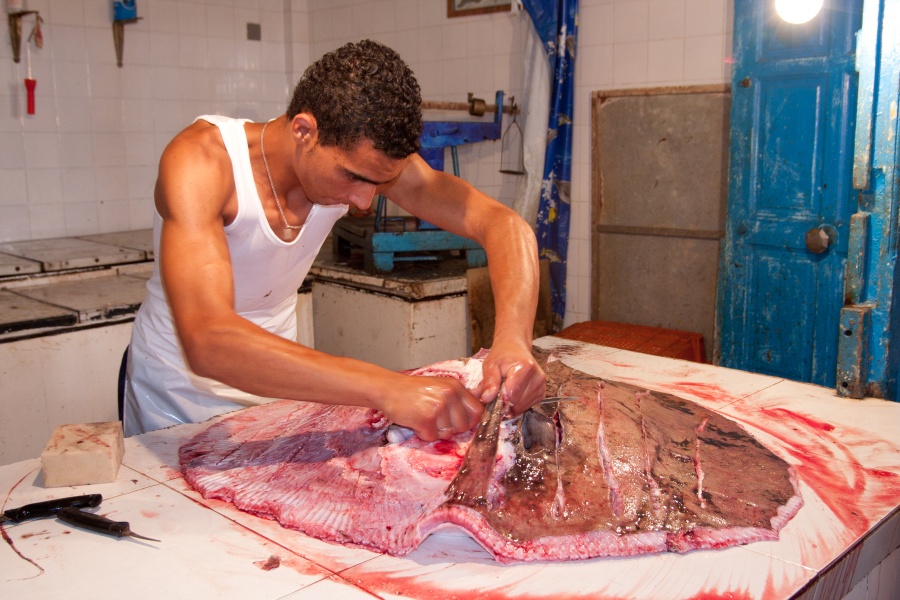 201008Tunisie-6043-p4.jpg - 2010/08-Nabeul (Tunisie) -Le marché