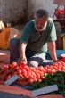 201008Tunisie-6022-p3