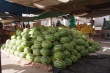 201008Tunisie-6023-p4