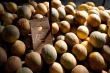 201008Tunisie-6024-p4