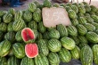 201008Tunisie-6025-p4