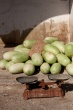 201008Tunisie-6026-p4