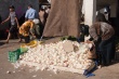 201008Tunisie-6029-p4