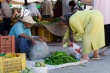201008Tunisie-6033-p3