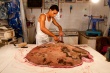 201008Tunisie-6041-p4