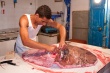201008Tunisie-6043-p4