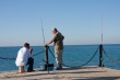 201008Tunisie-5036-p4