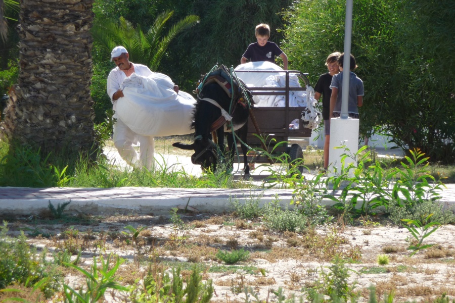 201008Tunisie-8030-pz.jpg - 2010/08-Nabeul (Tunise) - L'hotel
