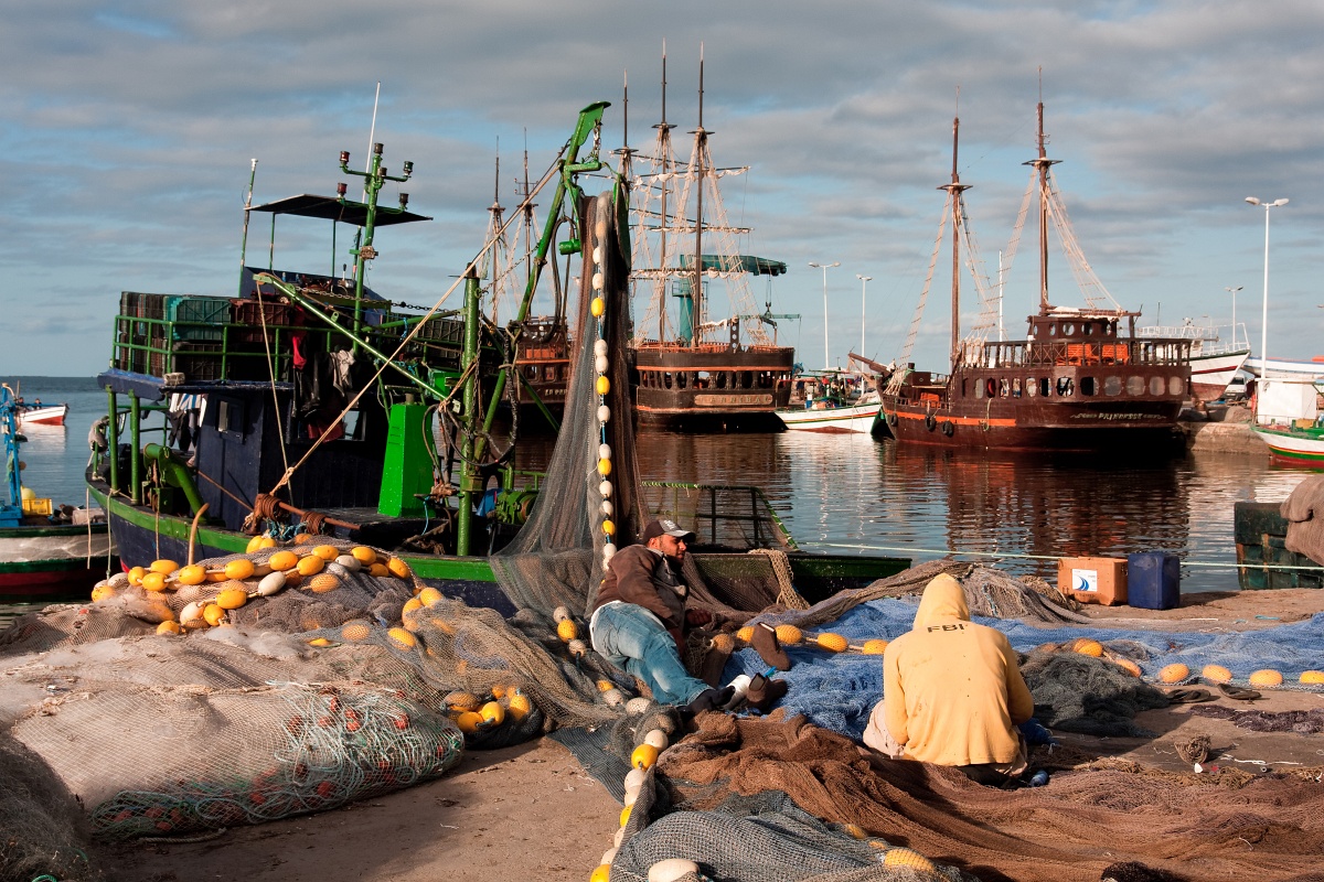 20121108-1102-p4.jpg - 08/11/2012-Houmt Souk (Tunisie)-Le port