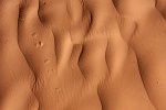 20121109-2212-p4
