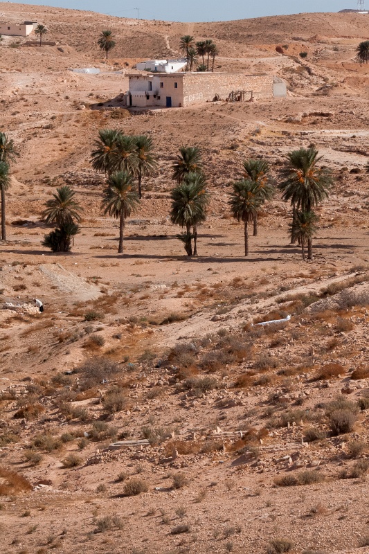 20121110-3305-p3.jpg - 10/11/2012-Tamezret(Tunisie)