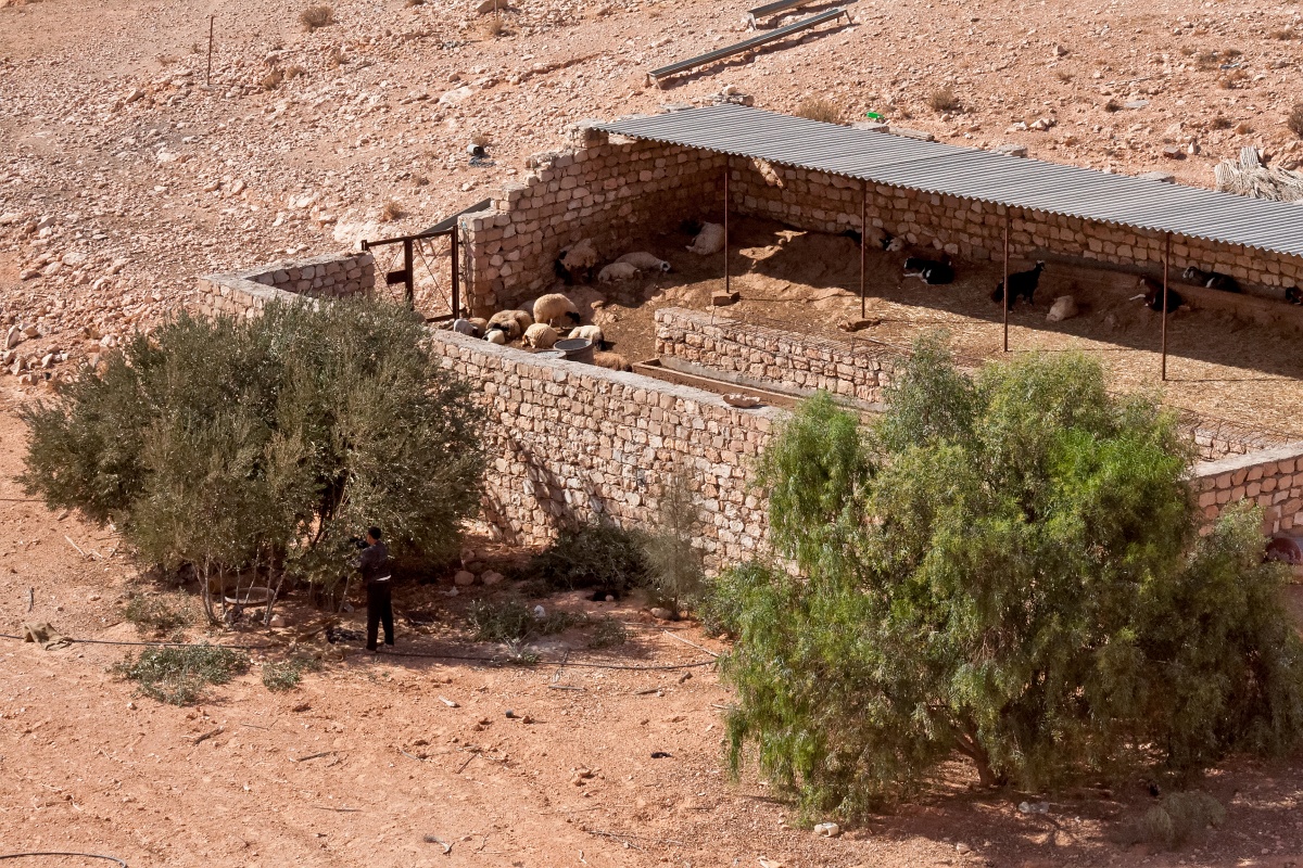 20121110-3307-p3.jpg - 10/11/2012-Tamezret(Tunisie)