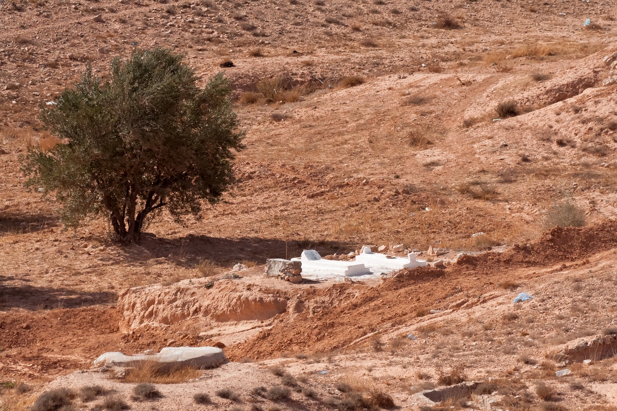 20121110-3308-p3.jpg - 10/11/2012-Tamezret(Tunisie)