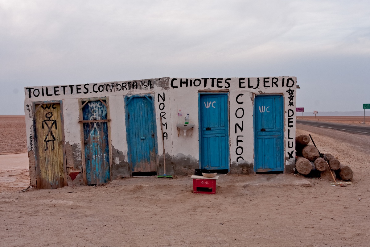 20121110-3509-p4.jpg - 10/11/2012-Chott El Jerid(Tunisie)