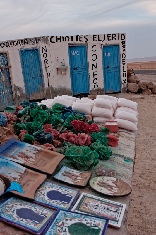 20121110-3510-p4.jpg - 10/11/2012-Chott El Jerid(Tunisie)