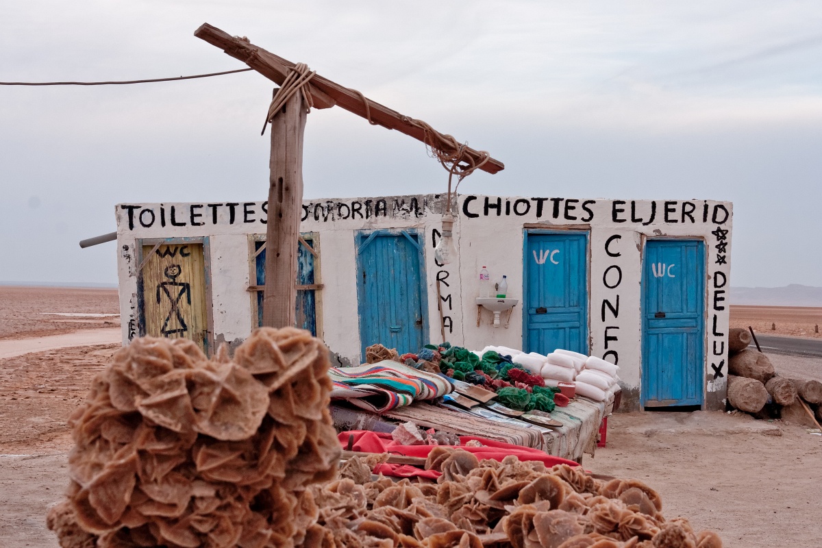 20121110-3511-p4.jpg - 10/11/2012-Chott El Jerid(Tunisie)
