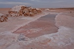5-Chott El Jerid