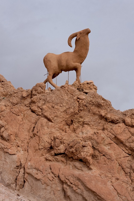 20121112-5107-p4.jpg - 12/11/2012-Chébika(Tunisie)-L'oasis de montagne