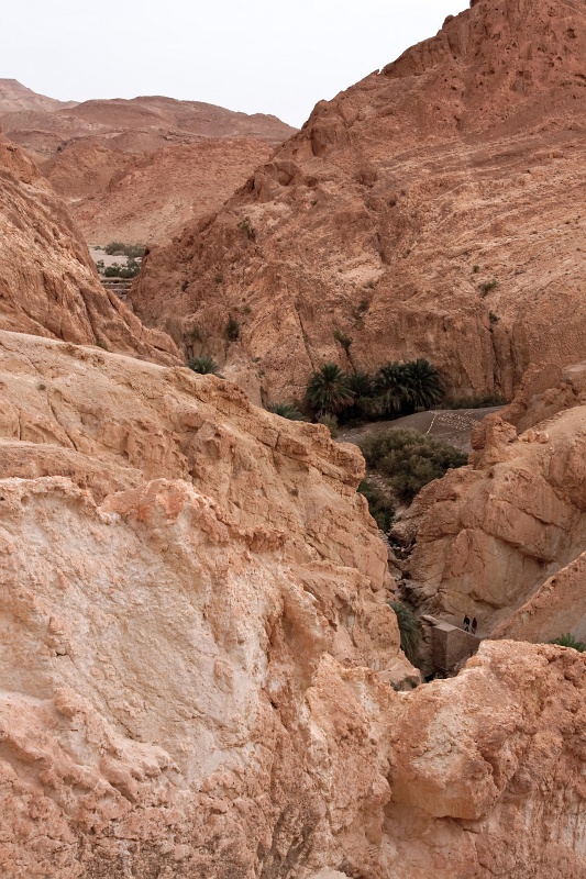 20121112-5110-p4.jpg - 12/11/2012-Chébika(Tunisie)-L'oasis de montagne
