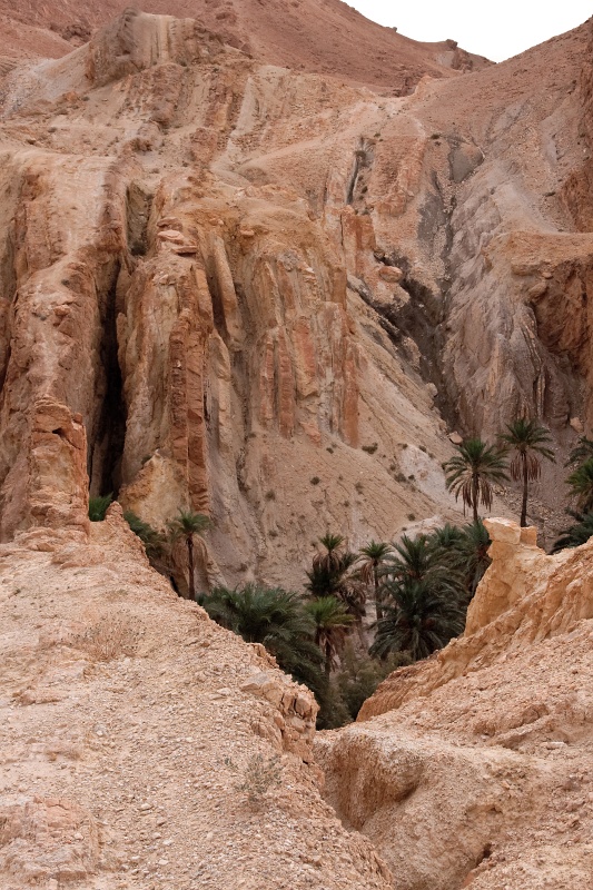 20121112-5111-p4.jpg - 12/11/2012-Chébika(Tunisie)-L'oasis de montagne
