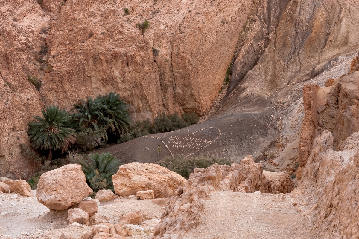 20121112-5114-p4.jpg - 12/11/2012-Chébika(Tunisie)-L'oasis de montagne