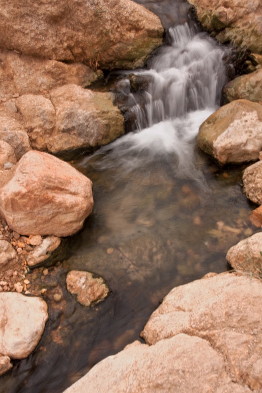 20121112-5117-p4.jpg - 12/11/2012-Chébika(Tunisie)-L'oasis de montagne