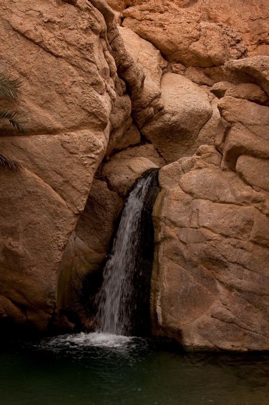 20121112-5119-p4.jpg - 12/11/2012-Chébika(Tunisie)-L'oasis de montagne