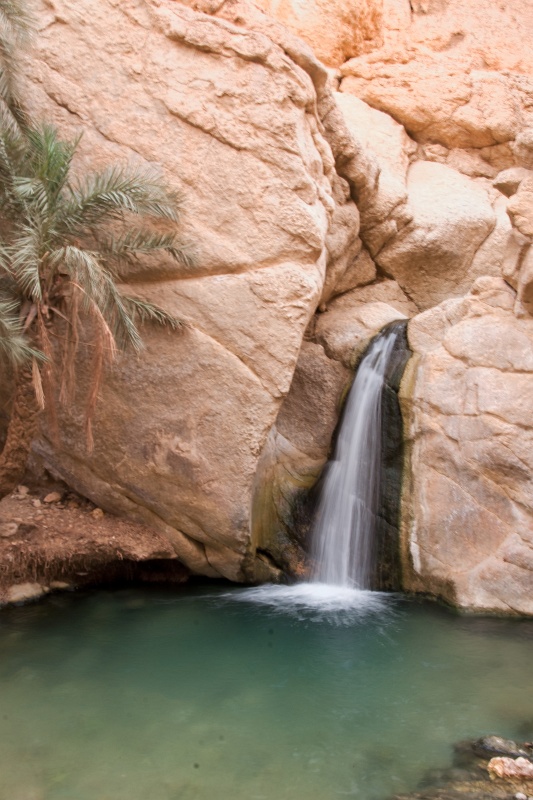 20121112-5120-p4.jpg - 12/11/2012-Chébika(Tunisie)-L'oasis de montagne