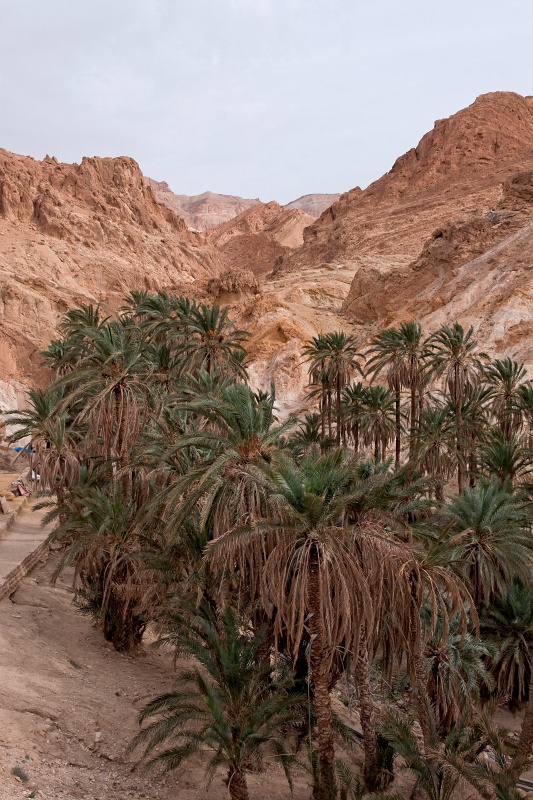 20121112-5123-p4.jpg - 12/11/2012-Chébika(Tunisie)-L'oasis de montagne