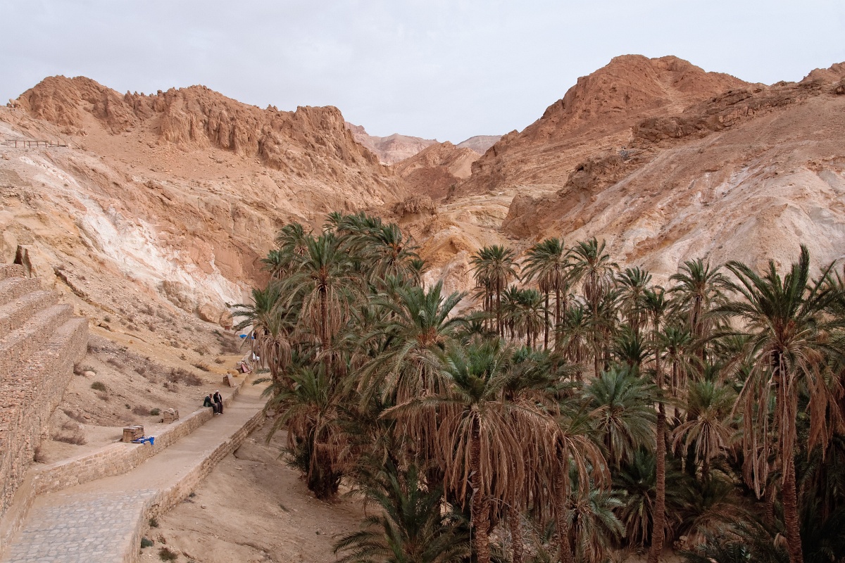 20121112-5124-p4.jpg - 12/11/2012-Chébika(Tunisie)-L'oasis de montagne