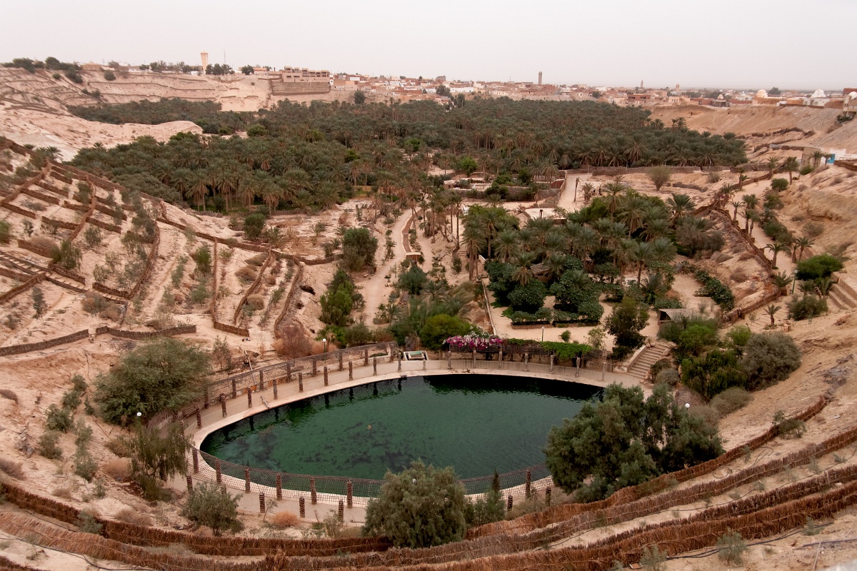 20121112-5501-p4.jpg - 12/11/2012-Nefta(Tunisie)-La corbeille