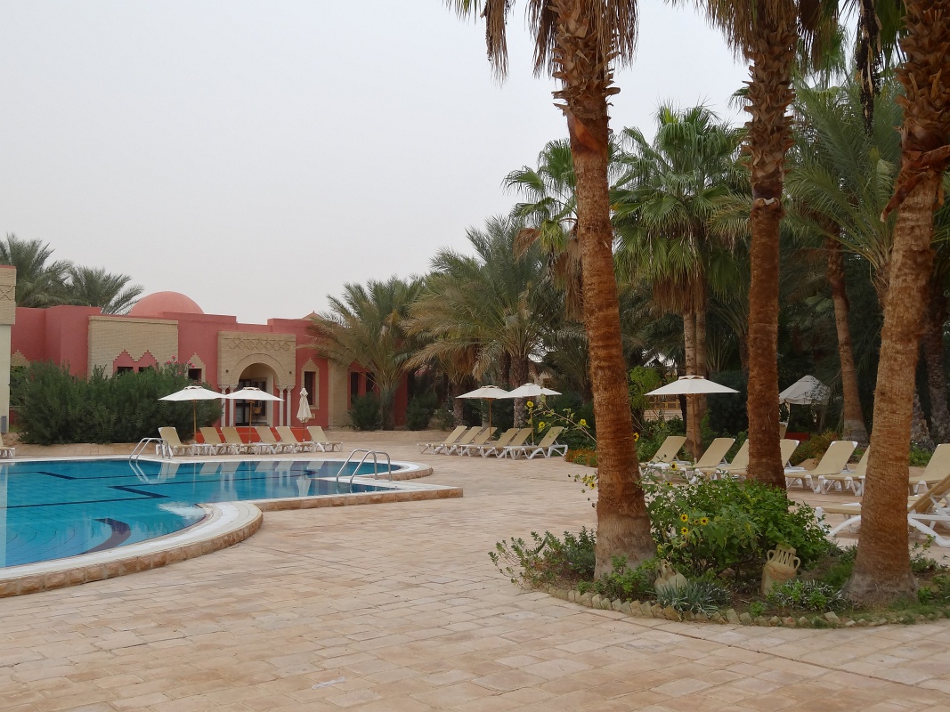 20121113-6103-jx.JPG - 13/11/2012-Tozeur(Tunisie)-Hotel Palm Beach