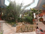 1-Hotel Palm Beach