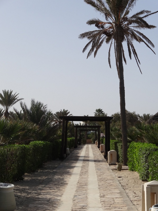 20121114-7117-jx.JPG - 14/11/2012-Djerba-L'hotel Yadis