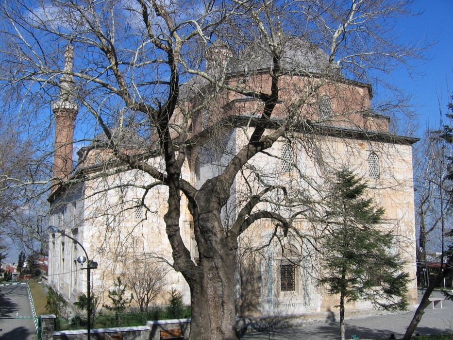 20050222-1180