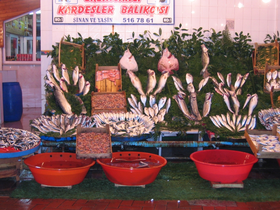 20050222-4010