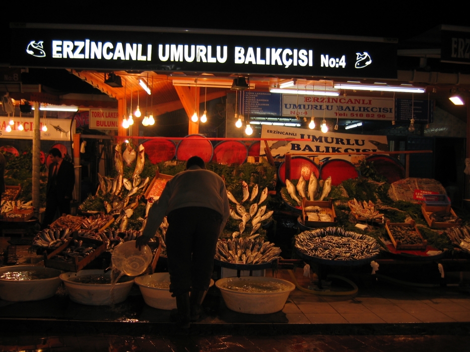 20050222-4020