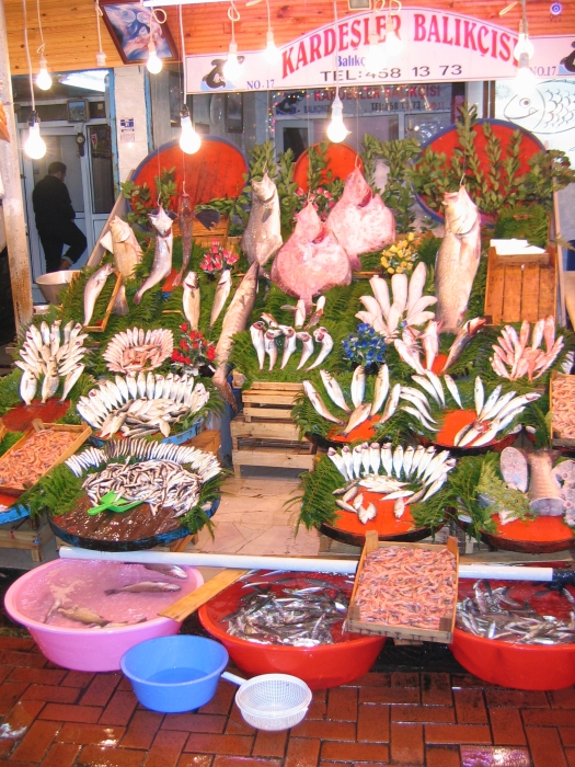 20050222-4040